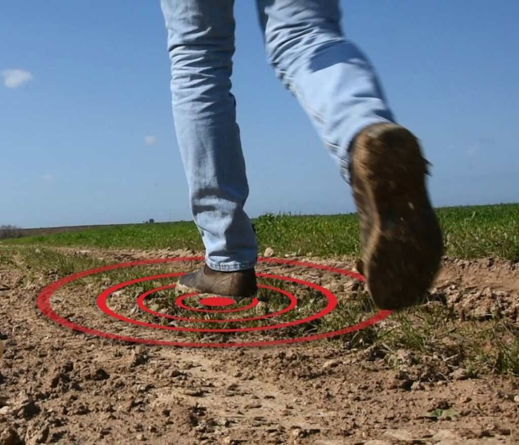 Perimeter Security Systems